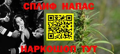 прущие грибы Краснознаменск