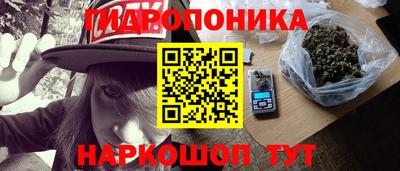 прущие грибы Краснознаменск