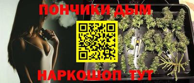 прущие грибы Краснознаменск