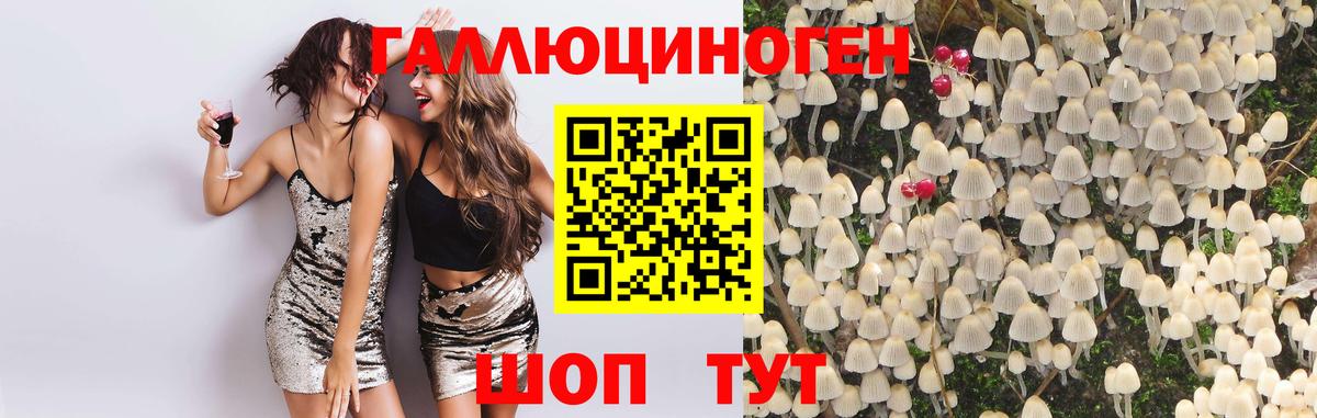 Псилоцибиновые грибы мухоморы  купить  сайты  Холмск  Псилоцибиновые грибы мицелий  Вход с VPN 